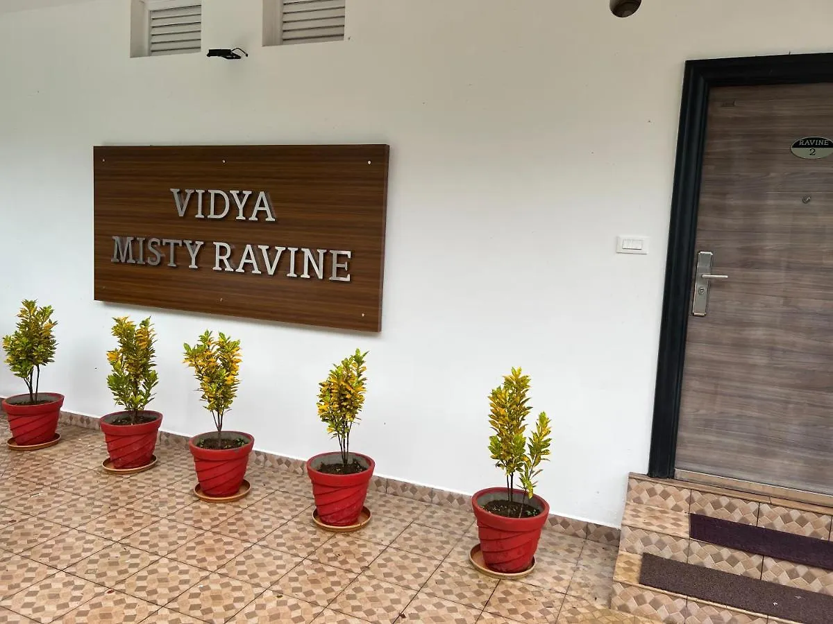 Vidya Misty Ravine location