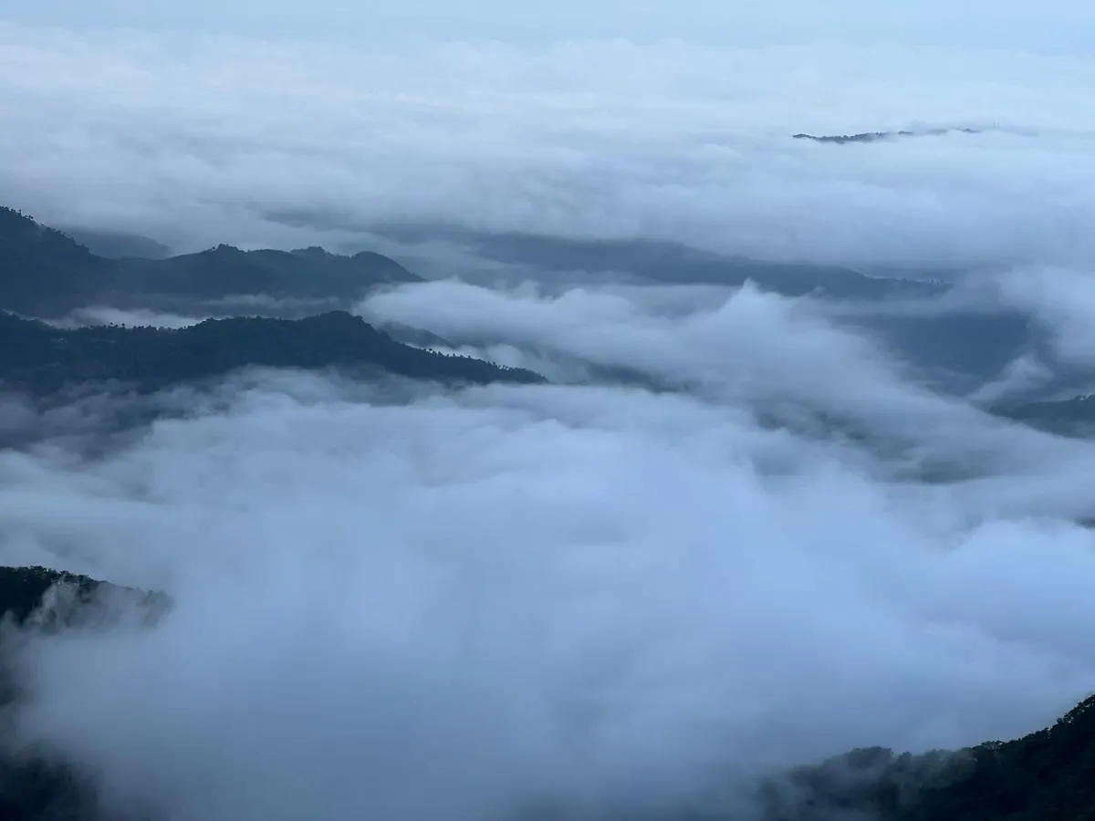 Θέρετρο Vidya Misty Ravine Ξενοδοχείο Vagamon